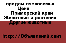 продам пчелосемьи › Цена ­ 4 000 - Приморский край Животные и растения » Другие животные   